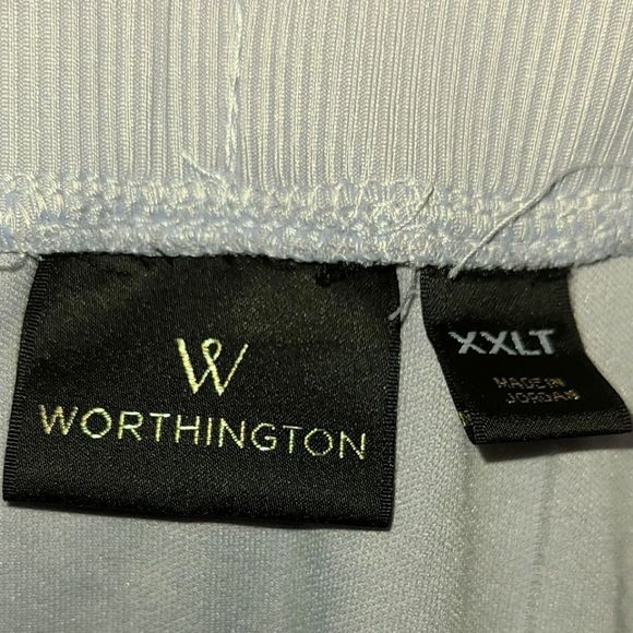 Worthington womens knee length gray skirt with liner - size XXL tall - EUC - Picture 2 of 3